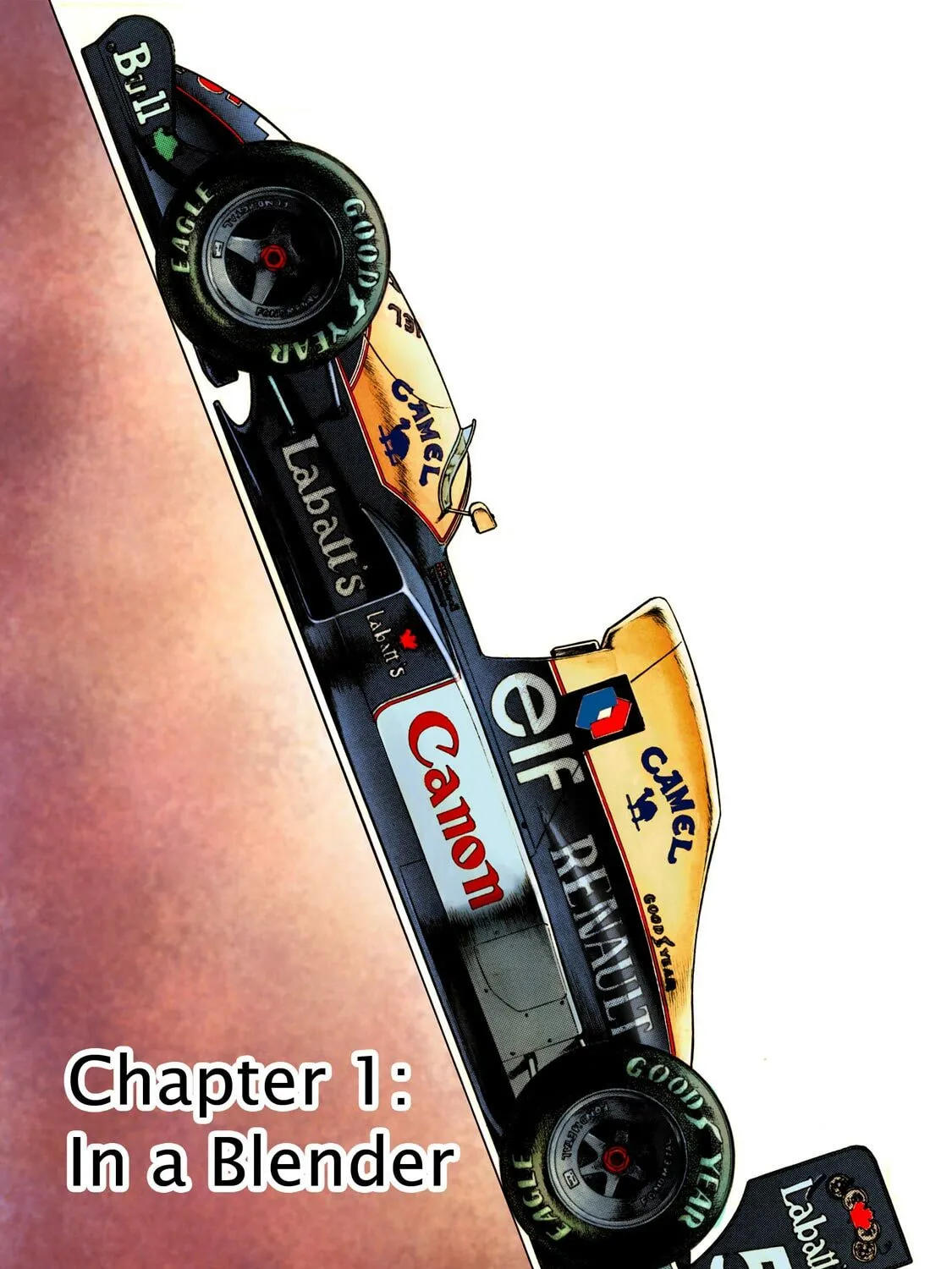 F Chapter 306 page 1 - 