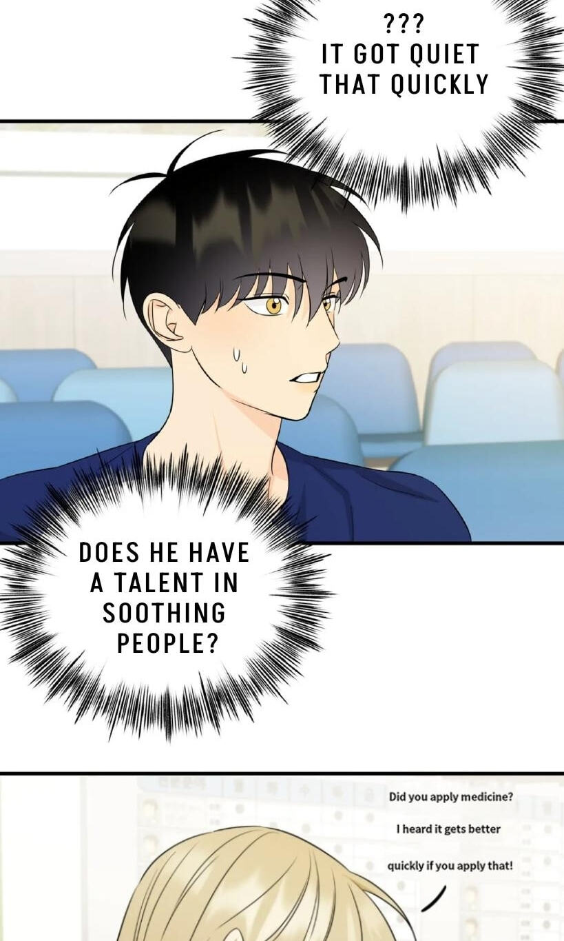 Fairy Pairing Chapter 20 page 41 - 