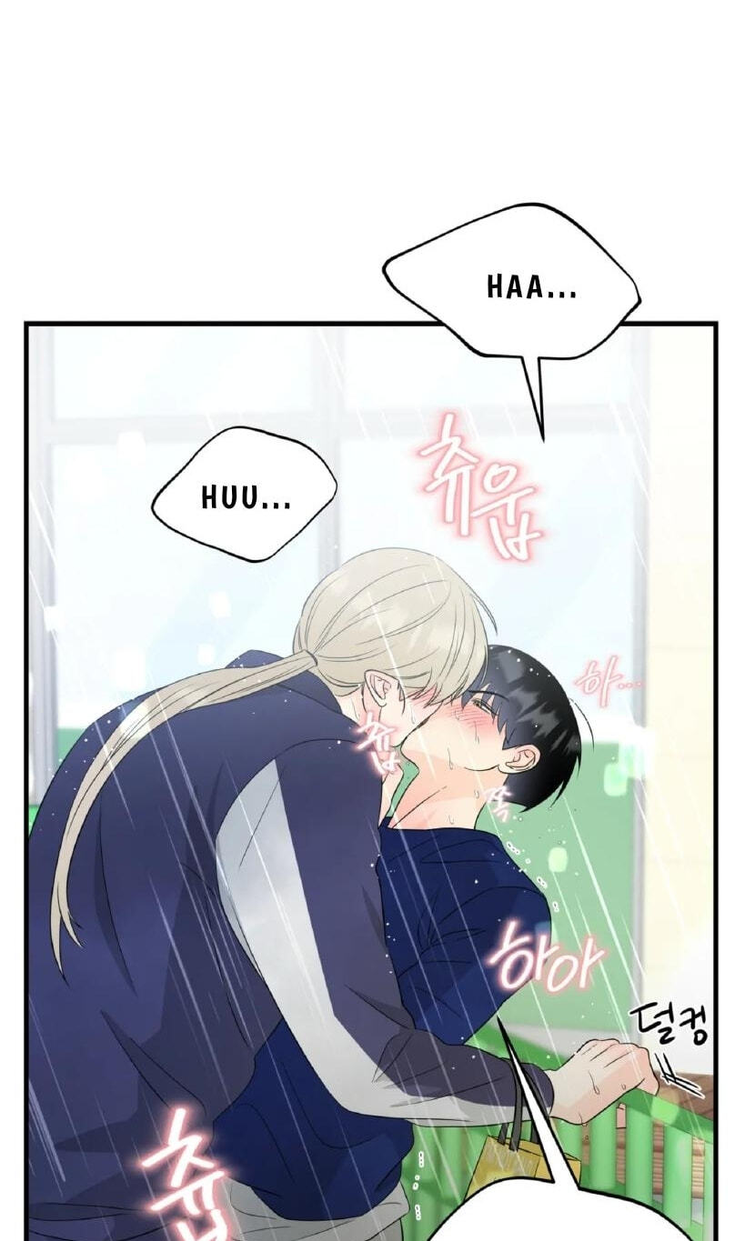Fairy Pairing Chapter 22 page 19 - 