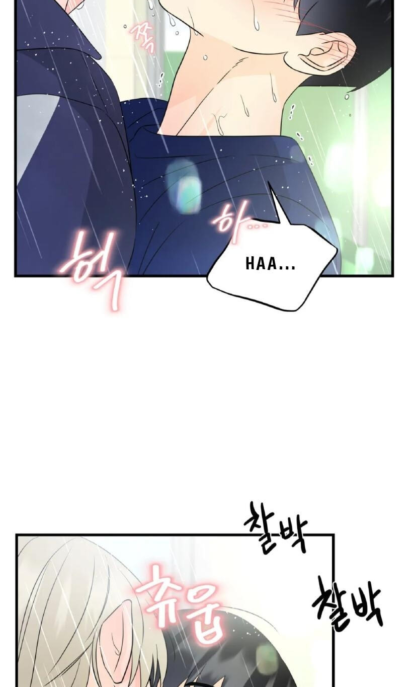 Fairy Pairing Chapter 22 page 21 - 