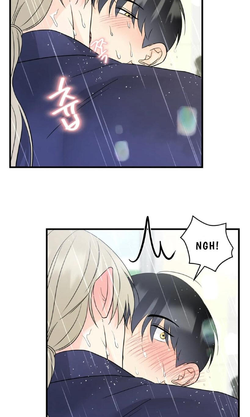Fairy Pairing Chapter 22 page 22 - 