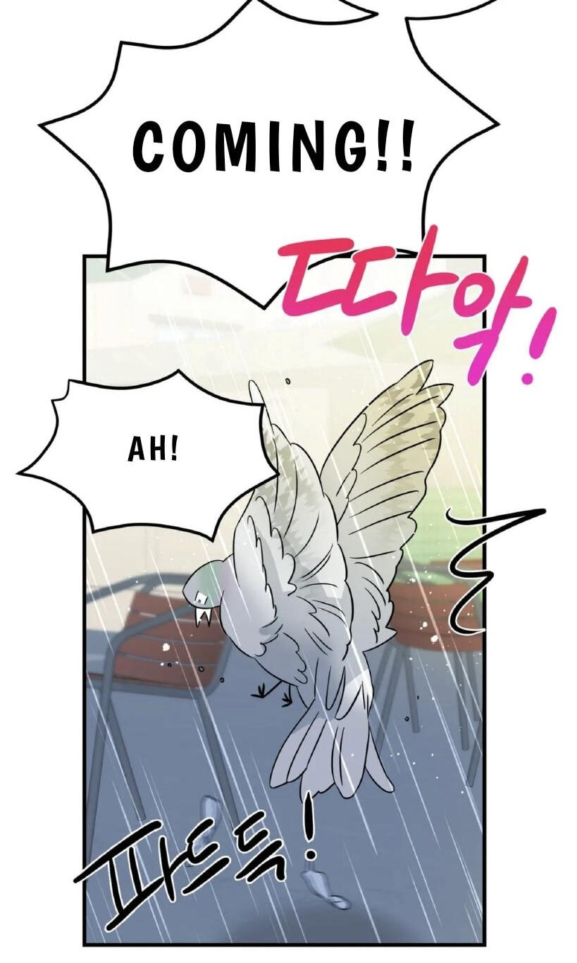 Fairy Pairing Chapter 22 page 32 - 