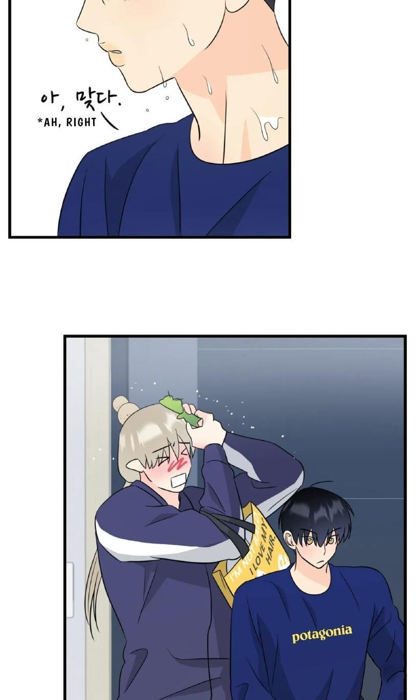 Fairy Pairing Chapter 22 page 36 - 