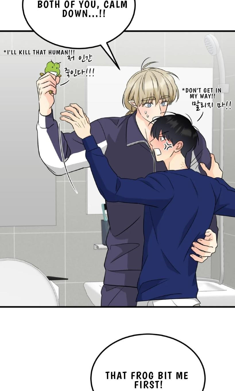 Fairy Pairing Chapter 23 page 13 - 