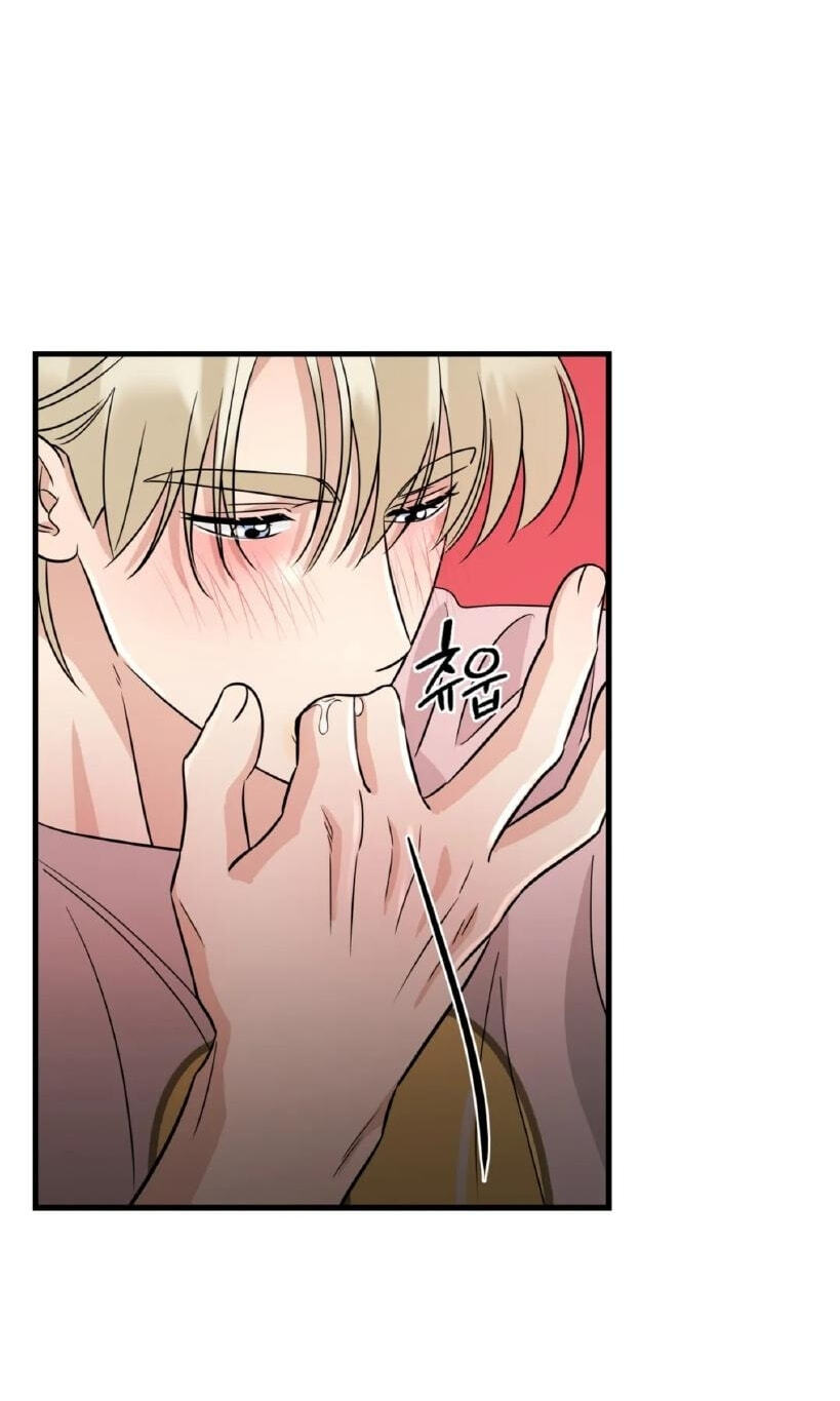 Fairy Pairing Chapter 24 page 64 - 