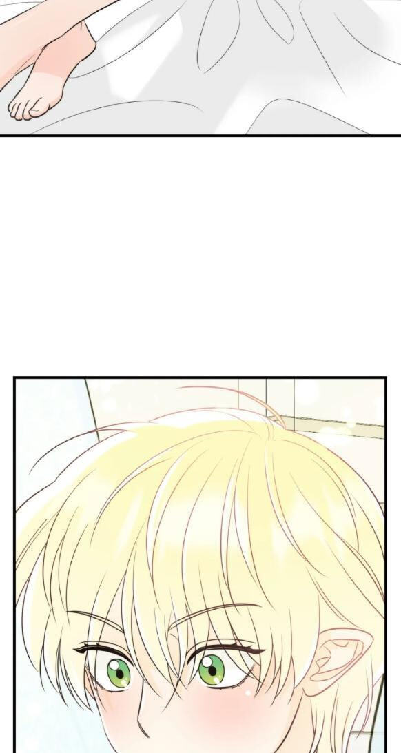 Fairy Pairing Chapter 26 page 29 - 