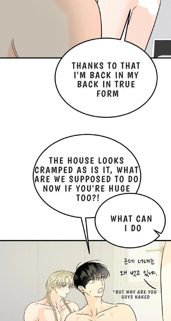 Fairy Pairing Chapter 26 page 37 - 