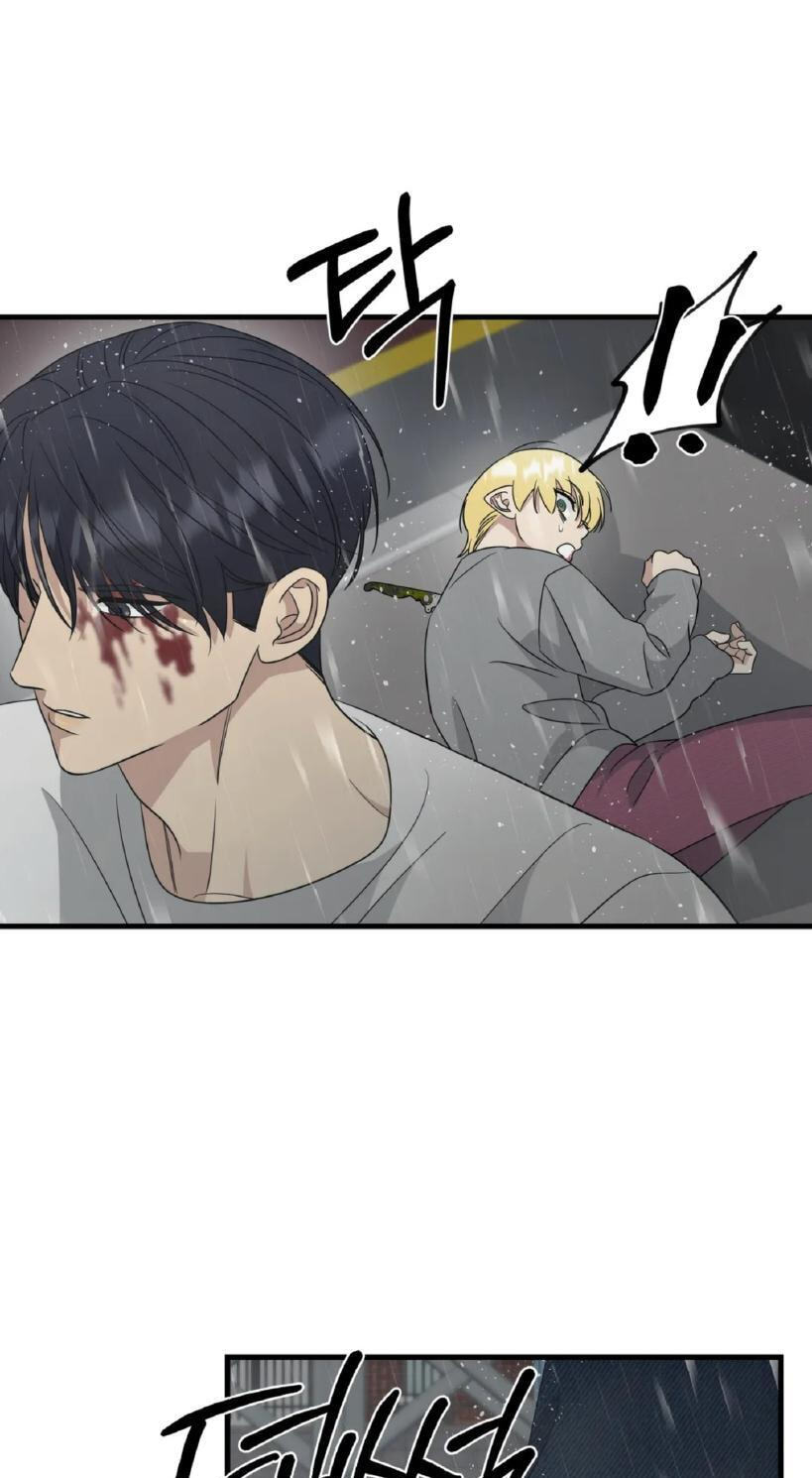 Fairy Pairing Chapter 35 page 15 - 