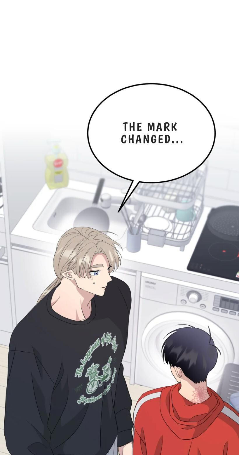 Fairy Pairing Chapter 36 page 1 - 