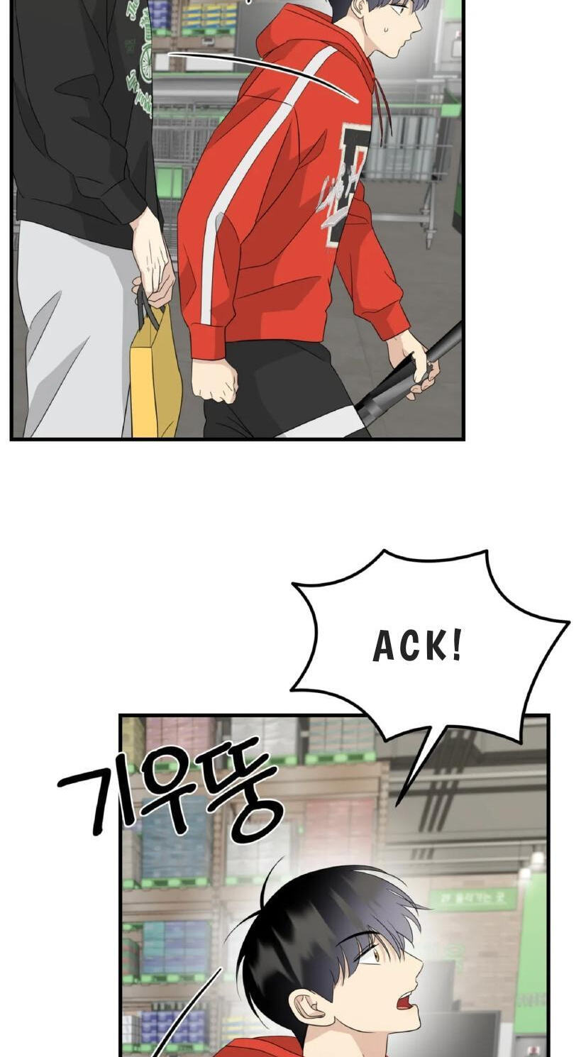 Fairy Pairing Chapter 36 page 29 - 