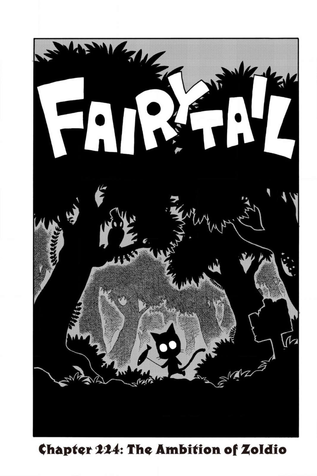 Fairy Tail: Twin Dragons of Saber Tooth Chapter 224 page 1 - 