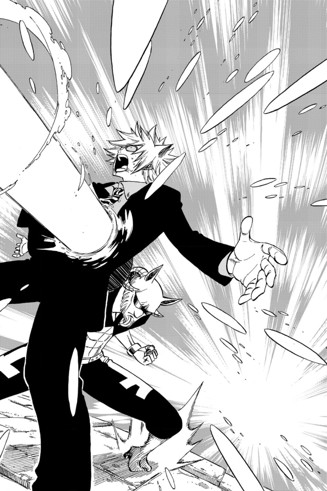 Fairy Tail: Twin Dragons of Saber Tooth Chapter 224 page 12 - 