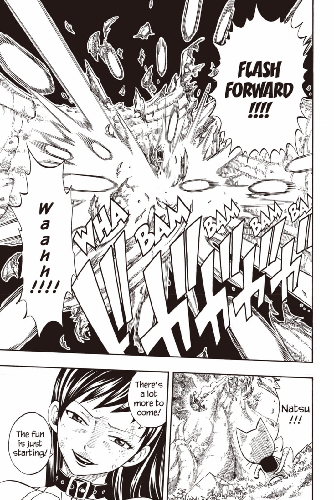 Fairy Tail: Twin Dragons of Saber Tooth Chapter 225 page 13 - 