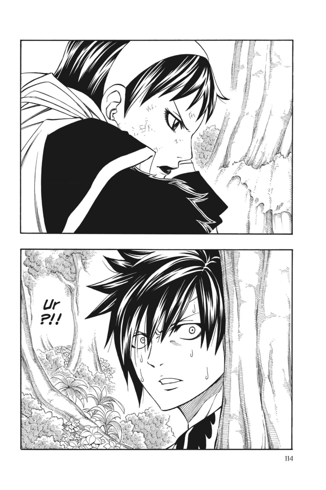 Fairy Tail: Twin Dragons of Saber Tooth Chapter 228 page 12 - 