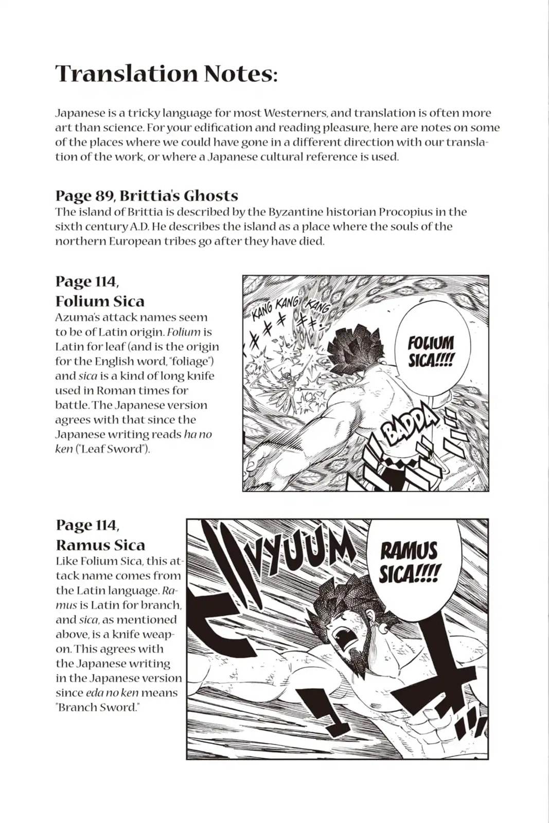 Fairy Tail: Twin Dragons of Saber Tooth Chapter 231 page 11 - 
