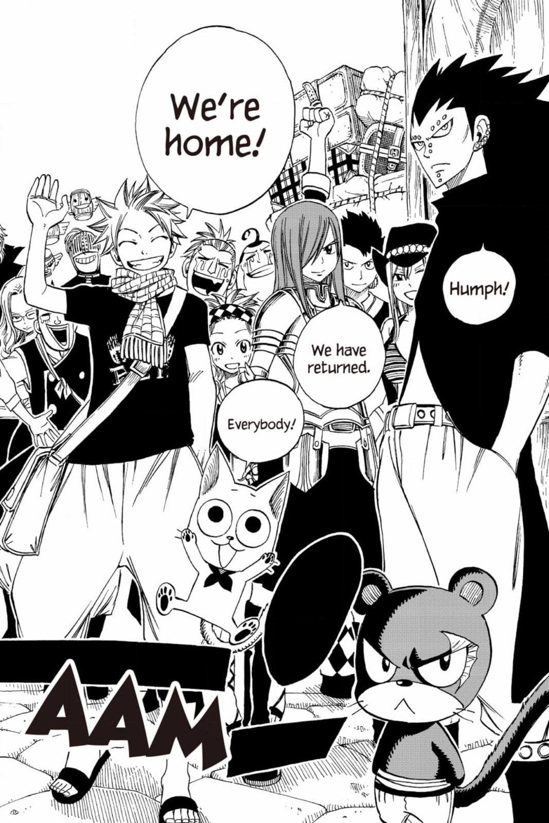 Fairy Tail: Twin Dragons of Saber Tooth Chapter 255 page 12 - 