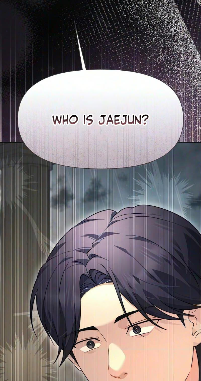 Fake Wife (Taeyoonse) Chapter 29 page 67 - 