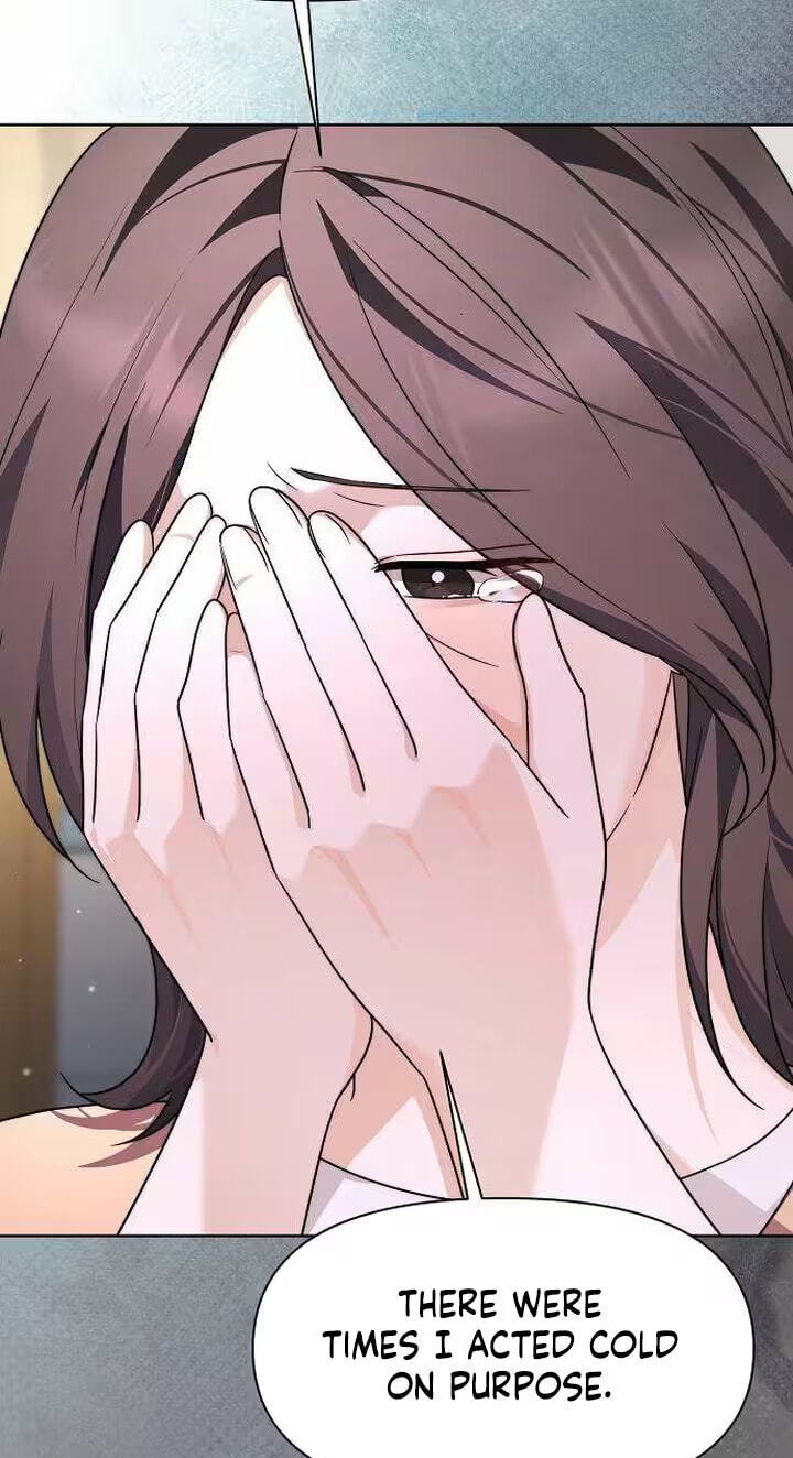 Fake Wife (Taeyoonse) Chapter 37 page 66 - 