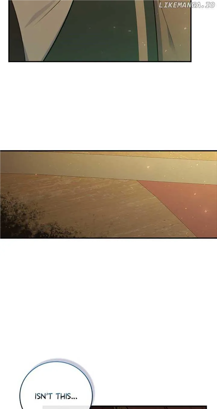 Fakes Don’t Want To Be Real Chapter 33 page 48 - 