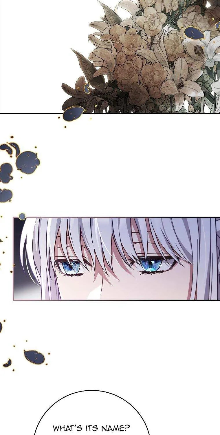 Fakes Don’t Want To Be Real Chapter 8 page 43 - 