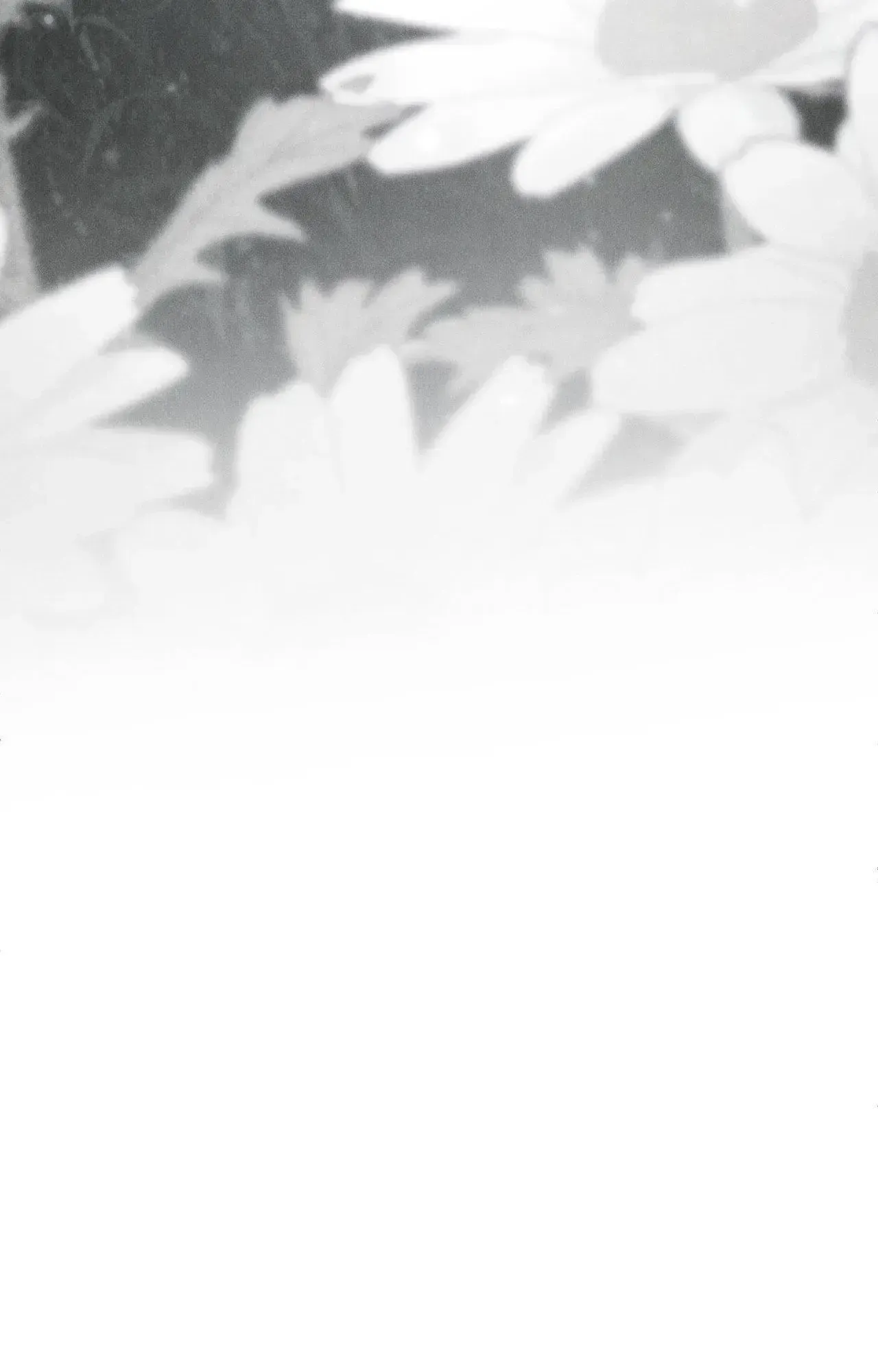 Fall From Grace Chapter 51 page 99 - 