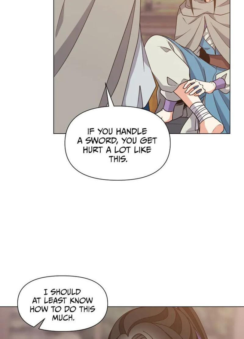 Falling Flower, Flowing Water Chapter 37 page 28 - 
