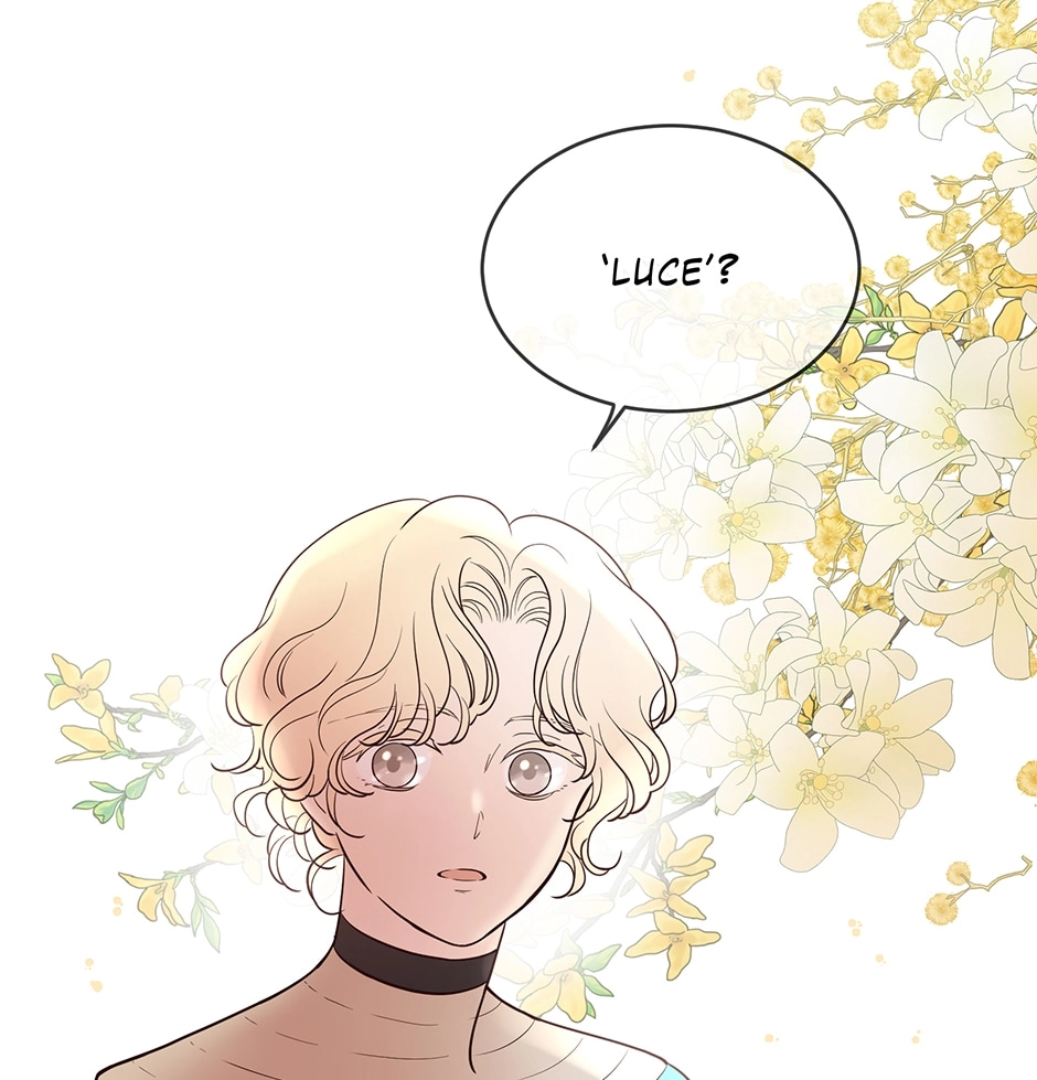 Fate of Three Lifetimes Chapter 87 page 14 - 
