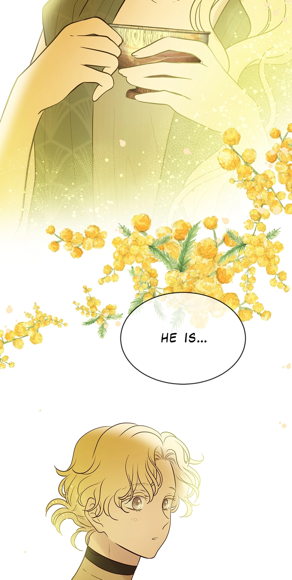 Fate of Three Lifetimes Chapter 87 page 19 - 