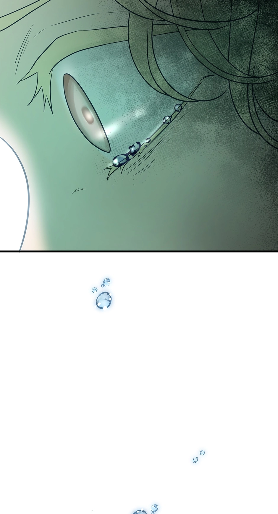 Fate of Three Lifetimes Chapter 87 page 96 - 