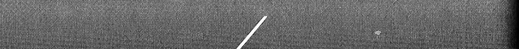 Fate/strange Fake Chapter 5 page 14 - 