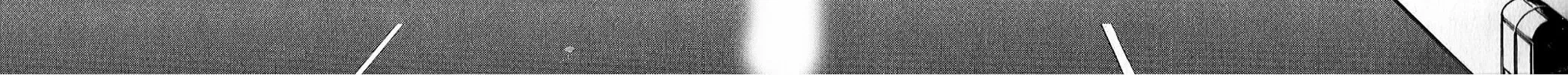 Fate/strange Fake Chapter 5 page 10 - 