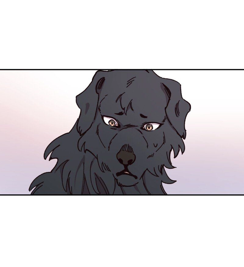 Filament Chapter 88 page 17 - 