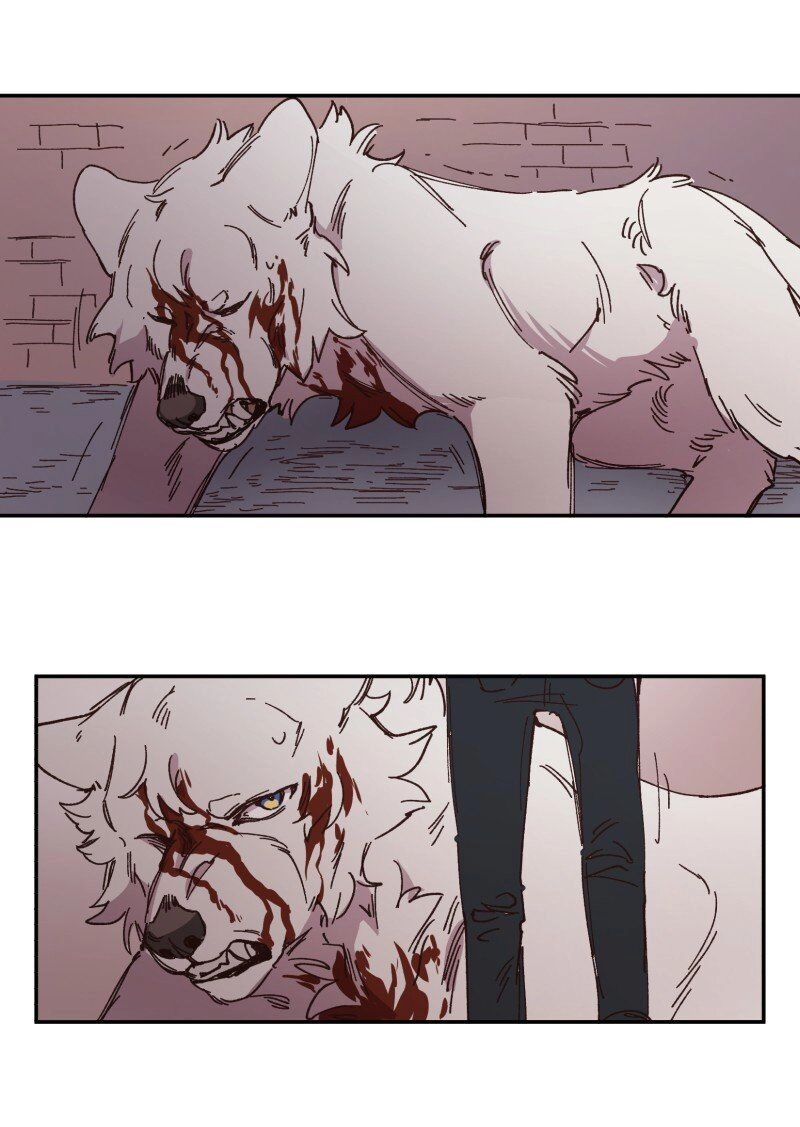 Filament Chapter 98 page 21 - 