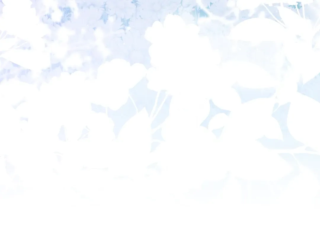 Finding Twilight Chapter 80 page 256 - 