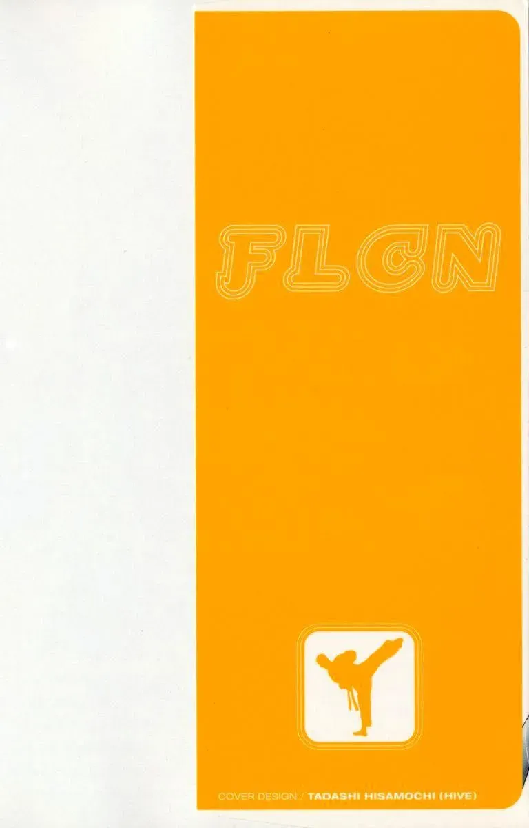 FLCN Chapter 19 page 3 - 