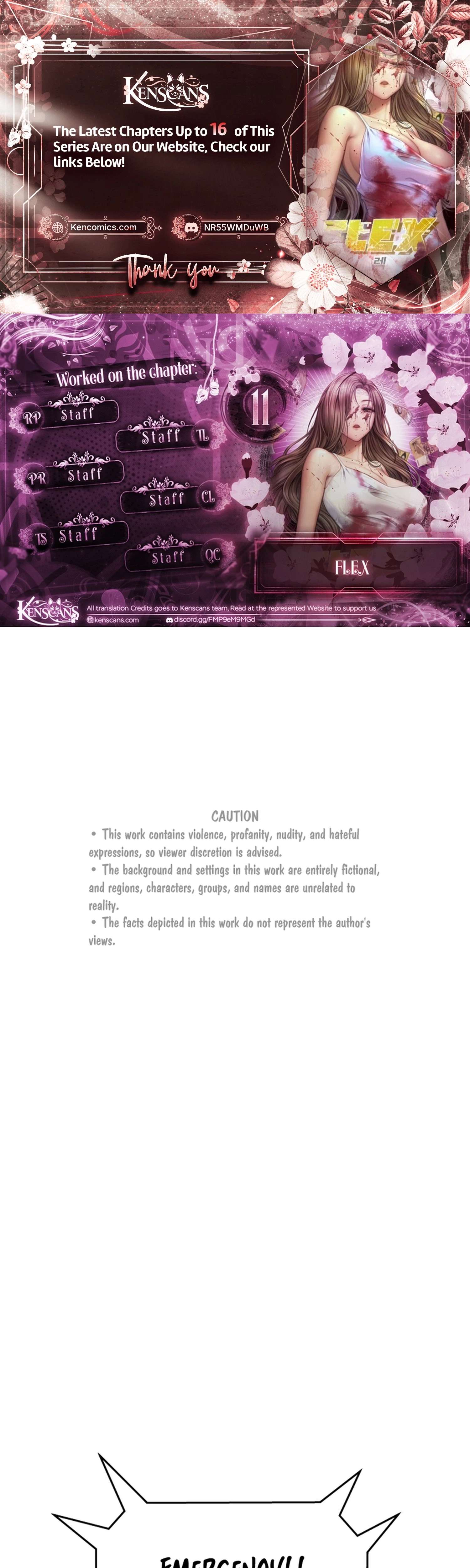 FLEX Chapter 11 page 1 - 