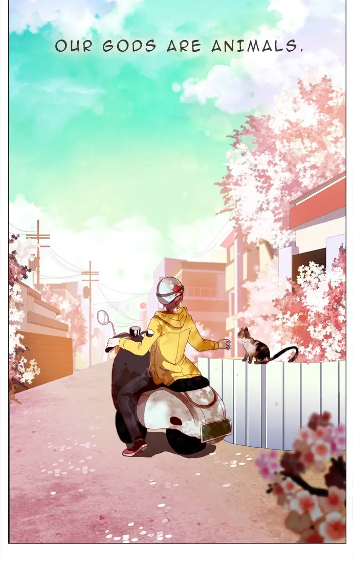 Flow Chapter 1 page 5 - 