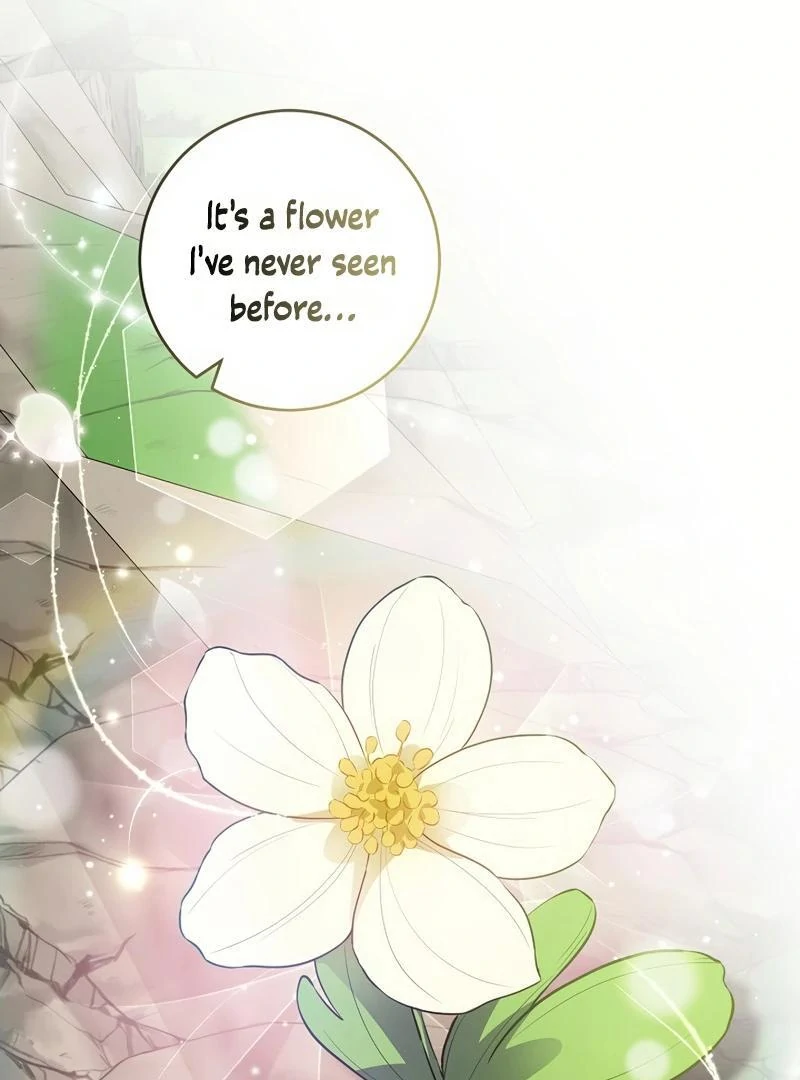 Flower Scholar's Love Story Chapter 1 page 14 - 