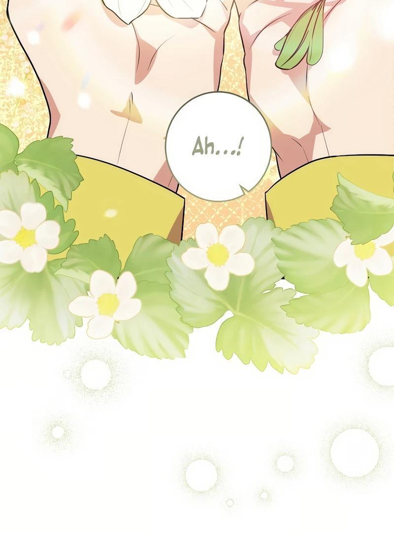 Flower Scholar's Love Story Chapter 1 page 96 - 