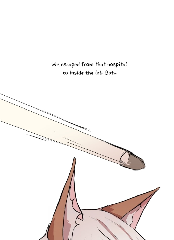 Fluffy Boyfriend Chapter 47 page 47 - 