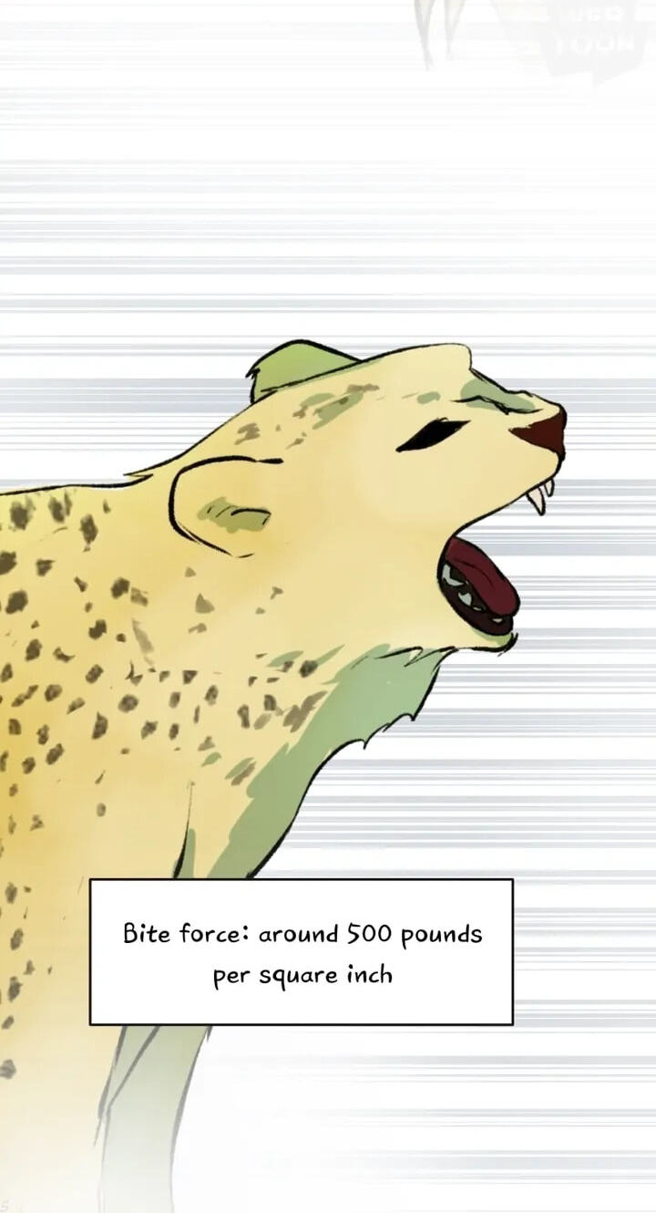 Fluffy Boyfriend Chapter 51 page 18 - 