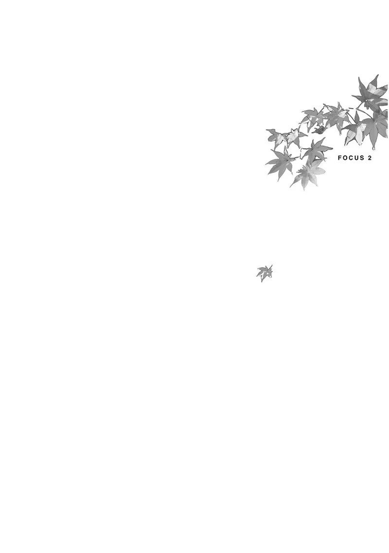Focus Chapter 5 page 39 - 