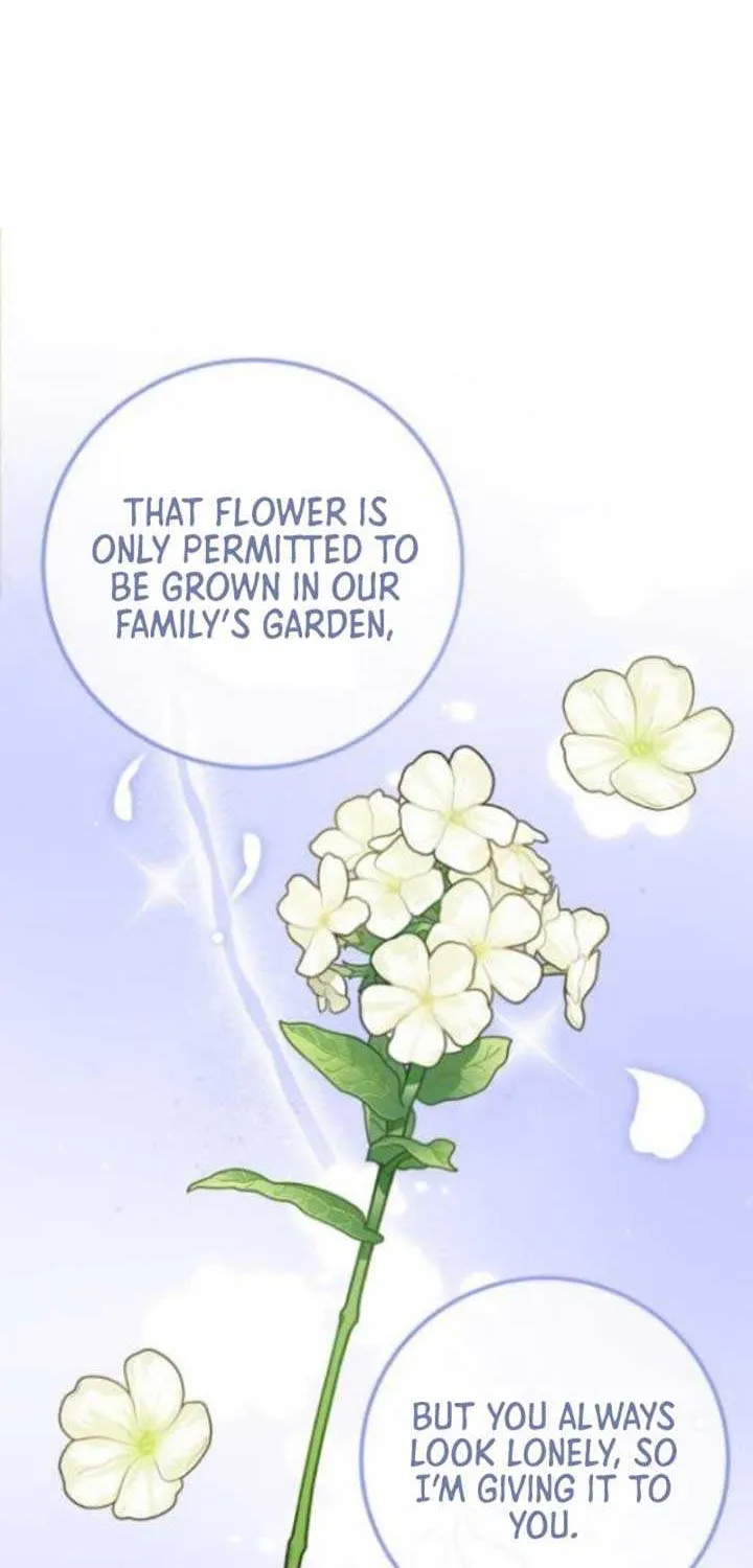 Forget Marriage, I’d Rather Go Bankrupt Chapter 3 page 15 - 
