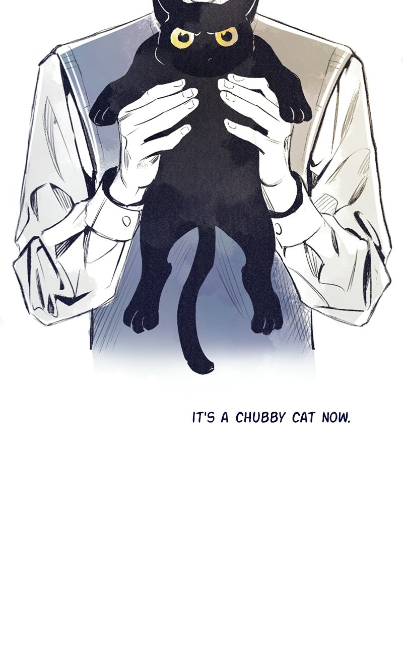 Four Options Ep. 34.5 - A Special Episode page 55 - 