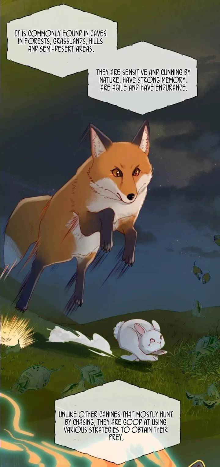 Foxes Always Lie Chapter 2.99 page 29 - 