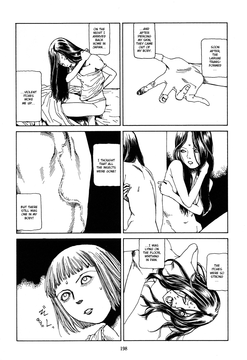Fraction Chapter 12 page 6 - 