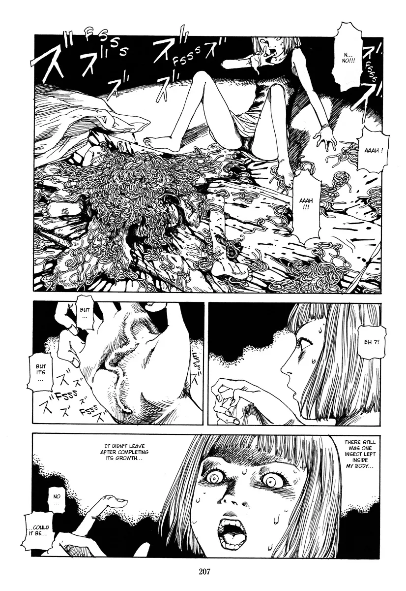 Fraction Chapter 5 page 15 - 