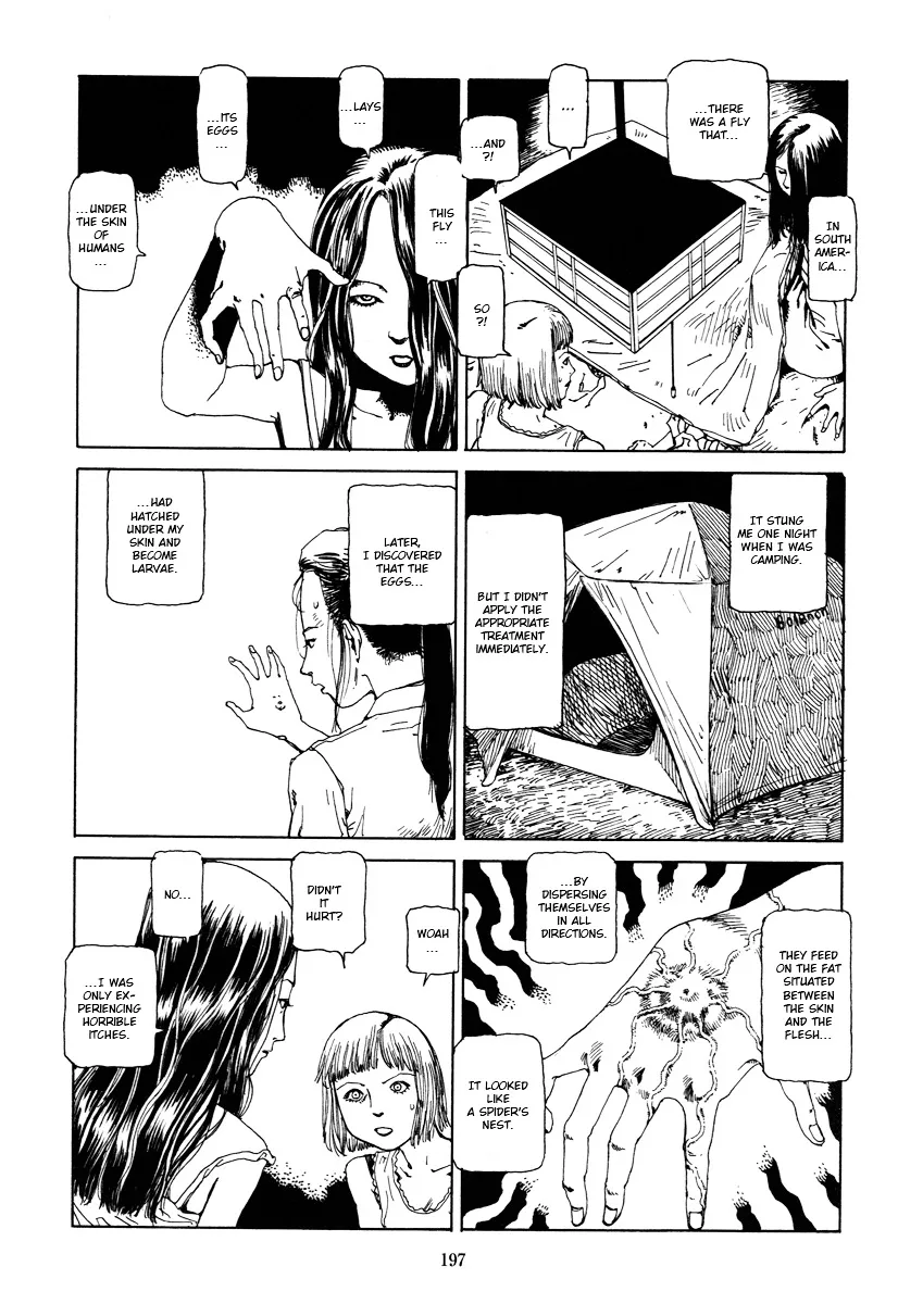 Fraction Chapter 5 page 5 - 