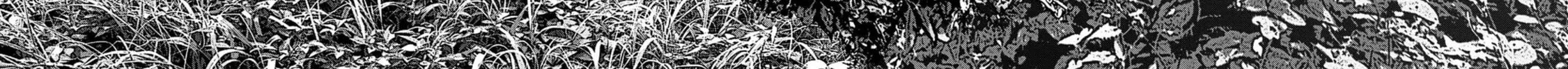 Freak Island Chapter 101 page 4 - 