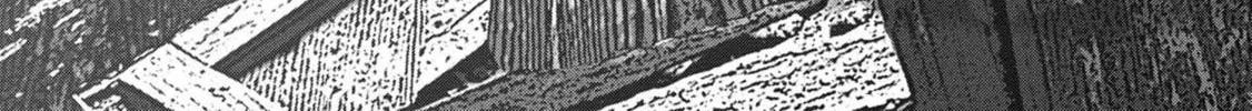Freak Island Chapter 106 page 4 - 
